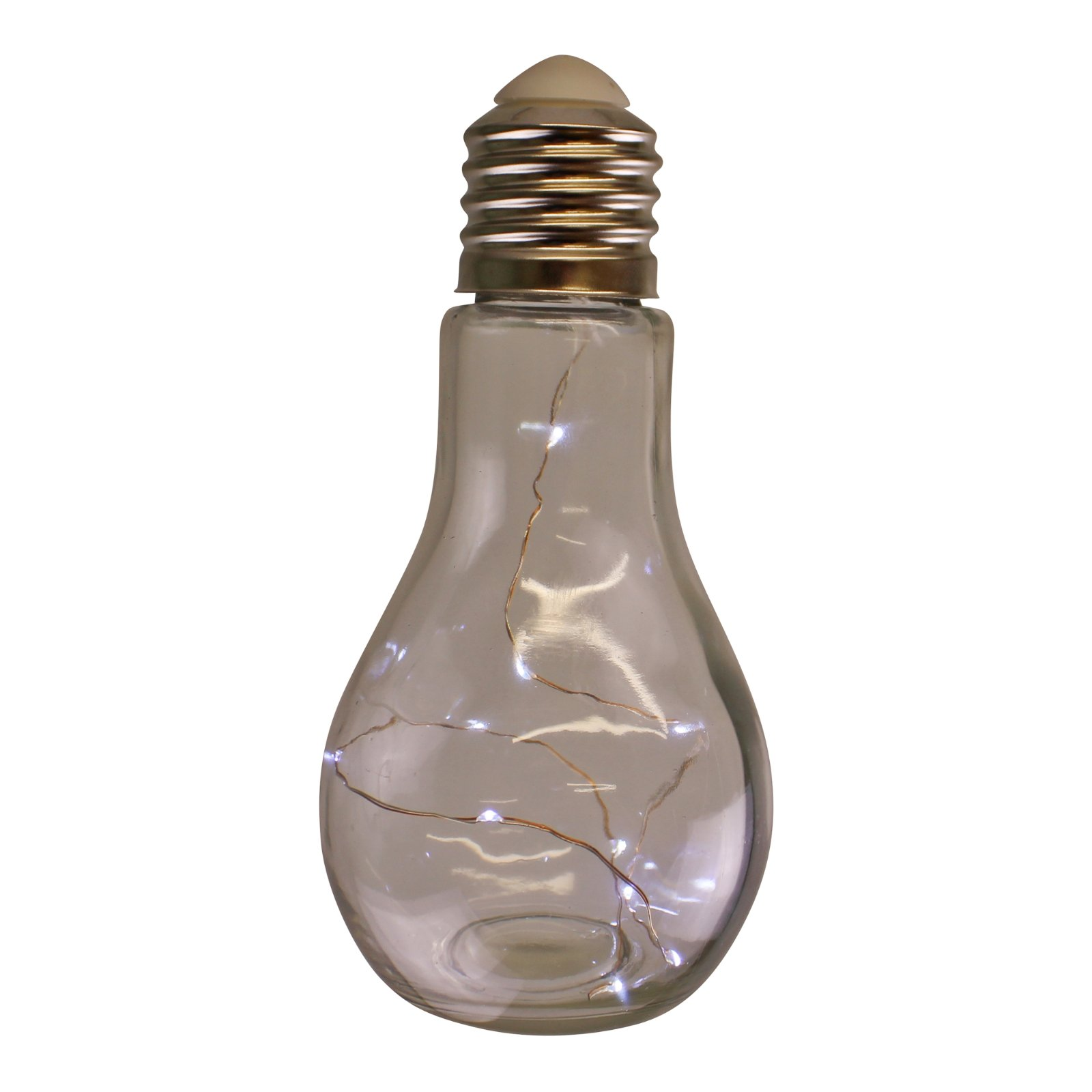 LED Filled Hanging Glass Lightbulb Light