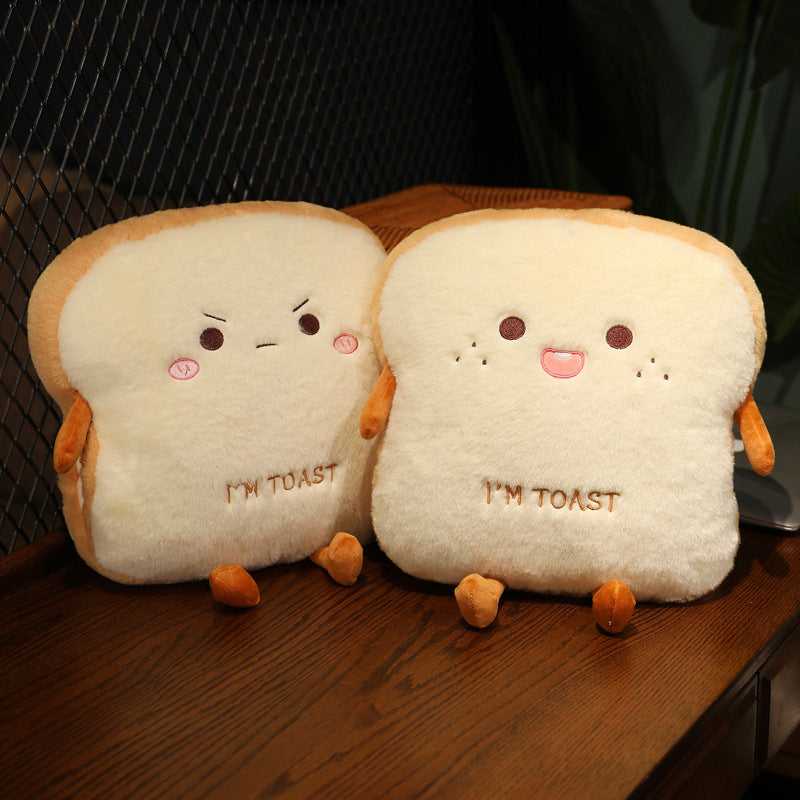 Toasties Anonymous Cushions